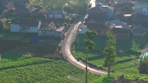 Aerial view of Nepal Van Java colorful village, Indonesia Stock Footage 300538065