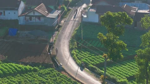 Aerial view of Nepal Van Java colorful village, Indonesia Stock Footage 300538191