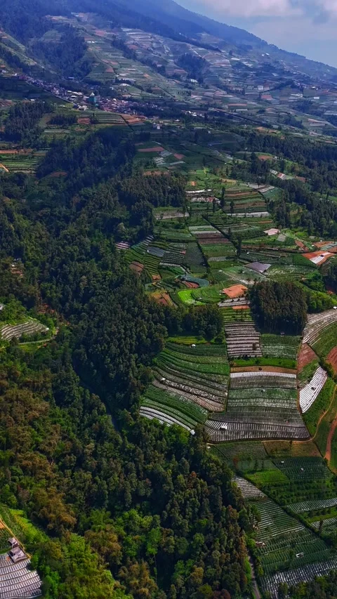 Aerial view of Nepal Van Java in Kecamatan Kaliangkrik, Indonesia. Stock Footage 340355617