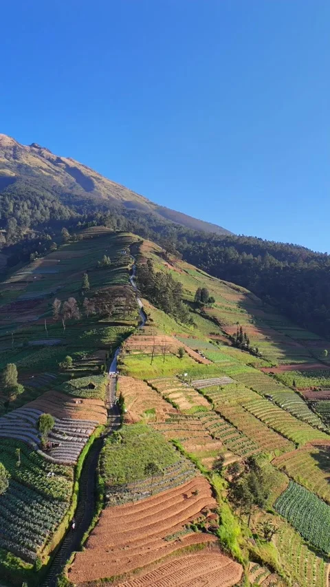 Aerial view of Nepal Van Java in Kecamatan Kaliangkrik, Indonesia. Vídeos de archivo 341431161