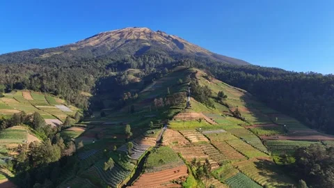 Aerial view of Nepal Van Java on Mount Sumbing, Indonesia. Vídeos de archivo 341431176