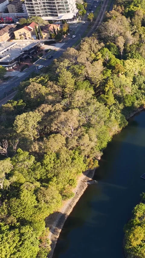 Aerial View of Nerang River and Waterfront Homes in Surfers Paradise Video stock 344619404