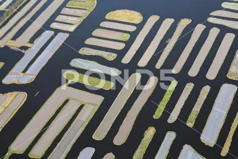 Aerial view of network of canals and dykes running through reclaimed low-lying Stock Photos