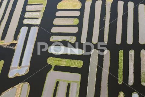 Aerial view of network of canals and dykes running through reclaimed low-lying Stock Photos