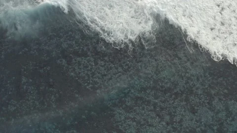 Aerial view. Never ending waves reaching beach. Drone shot. Vidéo 158891526