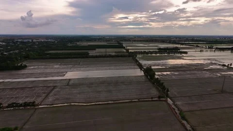 Aerial View Of Newly Seeded Rice Fields Under Overcast Sky Stock-Footage 340548086