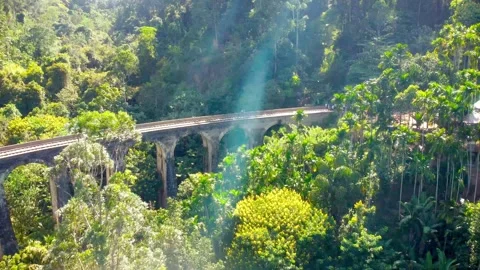 Aerial view of Nine Arch Bridge on Sri Lanka. Stock Footage 294543245