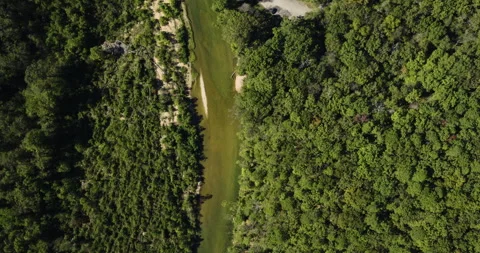Aerial View Of North Fork River Winding Through Dense Forest Near Devils Stock Footage 327402060