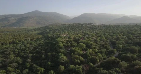 Aerial view of Oak forest in Golan Heights and Mount Hermon Stock Footage