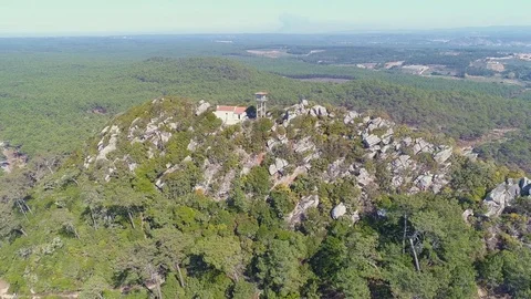 Aerial View on the Observation Tower Stock Footage 82399965