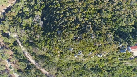 Aerial View on the Observation Tower Stock Footage 82400068
