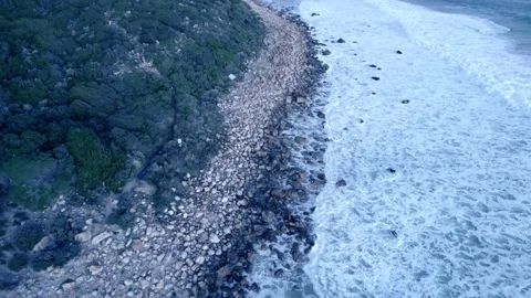 Aerial view of ocean and beach 動画素材 201837454