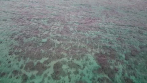 Aerial view of the ocean in the evening atmosphere. Seascape. 스톡 동영상 280327232