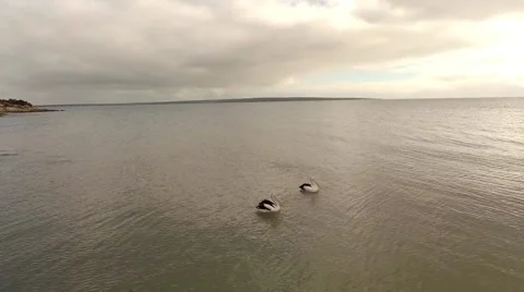 Aerial view of ocean Video stock 50993964