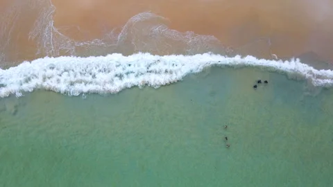 Aerial view of ocean wave reaching the coastline with tourists playing in water 스톡 동영상 170831726