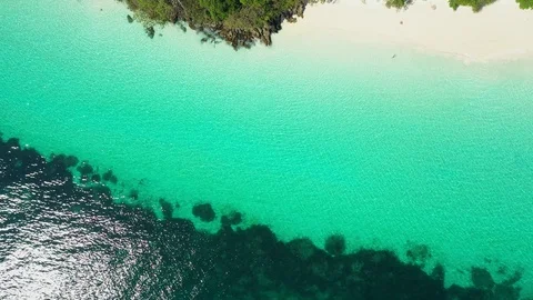 Aerial view of ocean waves, beach and rocky coastline and beautiful forest Stock Footage 123709464