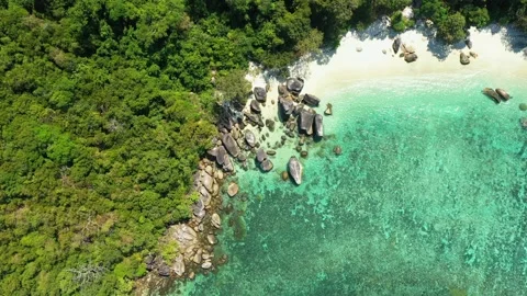 Aerial view of ocean waves, beach and rocky coastline and beautiful forest Stock Footage 142301391