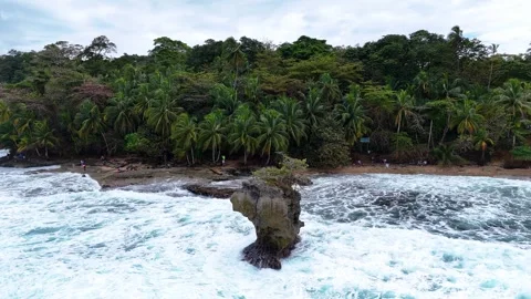 Aerial view of ocean waves crashing in gandoca manzanillo national park Vidéo 339119030