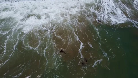 Aerial view of ocean waves with dolphins swimming, creating a dynamic seascape Stock Footage 317658311