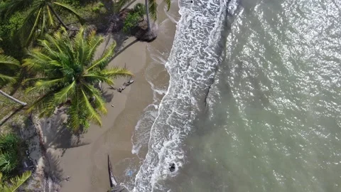Aerial view of ocean waves rolling onto a beautiful beach with pink sand at.. Stock Footage 288609833