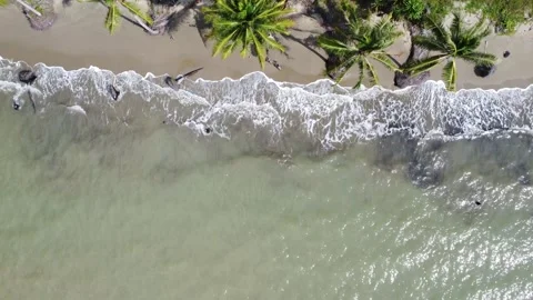 Aerial view of ocean waves rolling onto a beautiful beach with pink sand at.. Stock Footage 288610034