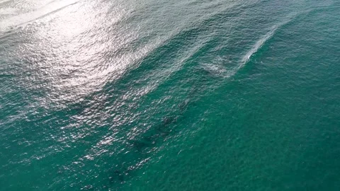 Aerial View of Ocean Waves Rolling Toward Main Beach Stock Footage 341377080