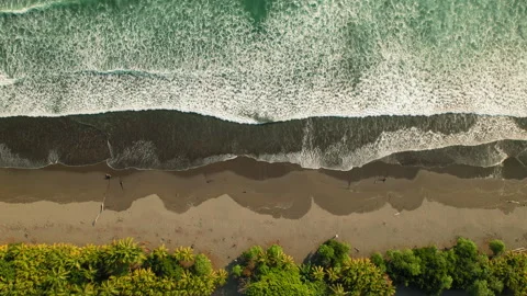 Aerial view of ocean waves rolling onto sandy beach with palm trees Costa Rica Stock Footage 341446718