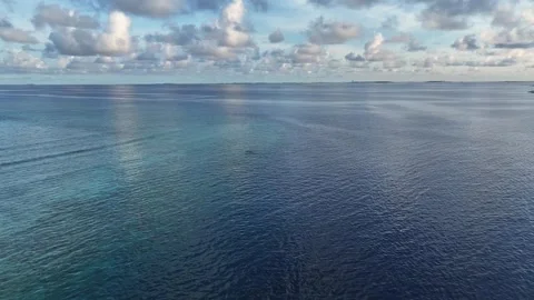 Aerial view of the ocean's surface with dolphins in the distance, Maldives. Stock Footage 317608357