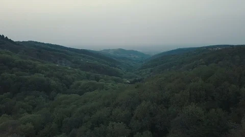 Aerial view ofthe forest in the springtime Stock Footage 89139823