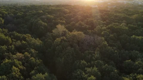 Aerial view of the oil processing plant construction Stock Footage 218218016