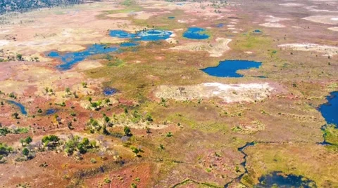 Aerial view of the Okavango Delta in Botswana, Africa Video stock 52851393