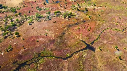 Aerial view of the Okavango Delta in Botswana, Africa Video stock 52851413