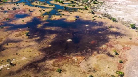 Aerial view of the Okavango Delta in Botswana, Africa Stock Footage 52851545