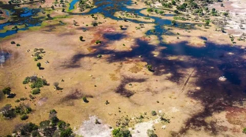Aerial view of the Okavango Delta in Botswana, Africa Stock Footage 52851597