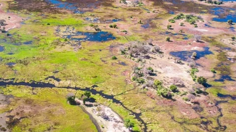 Aerial view of the Okavango Delta in Botswana, Africa Stock Footage 52852005
