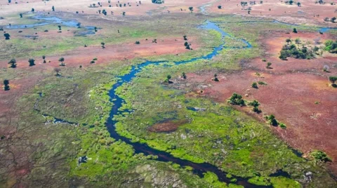 Aerial view of the Okavango Delta in Botswana, Africa 스톡 동영상 52852216