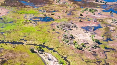 Aerial view of the Okavango Delta in Botswana, Africa Stock Footage 52867929