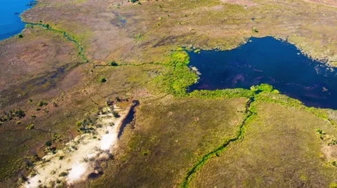 Aerial view of the Okavango Delta in Botswana, Africa Video stock 52880138