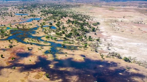 Aerial view of the Okavango Delta in Botswana, Africa Stock Footage 52880606
