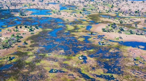 Aerial view of the Okavango Delta in Botswana, Africa Stock Footage 52880778