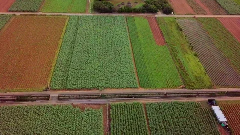 Aerial View of Okinawa's Fields Vidéo 332506195
