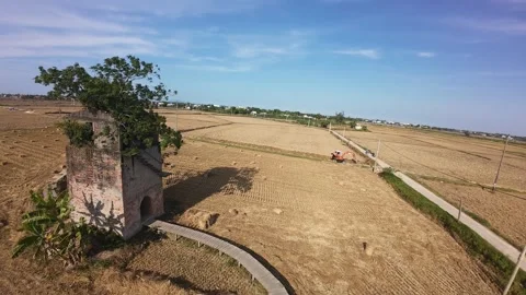 Aerial view of an old brick historic structure surrounded by harvested rice Stock Footage 345868977