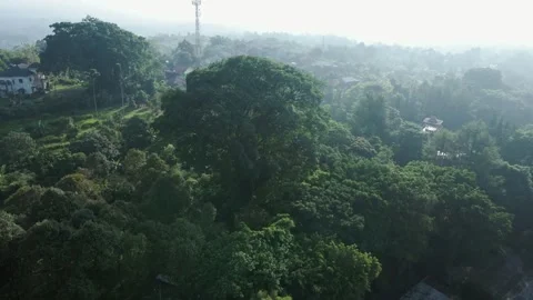 Aerial view of old bridge 2 Stock Footage 291899780