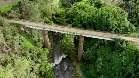 Aerial view on the old bridge in Mauritius Stock Footage 169980898