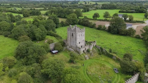 An aerial view of an old castle in the middle of a field Video stock 328536516