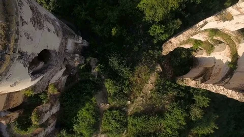 Aerial view of old castle, two towers and forest around Stock Footage 77630414