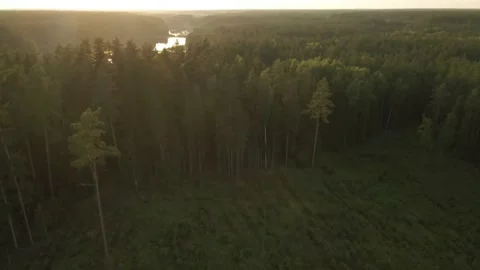 Aerial view of old forest and lakes during sunset Stock Footage 202299470