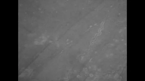 Aerial view of old German front lines and various points - 1918 Stock Footage 99782291