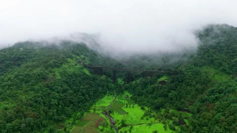 Aerial View of an Old Railway Bridge Hidden in a Lush Green Jungle in Monsoon 库存影片 342701943