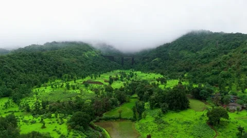 Aerial View of an Old Railway Bridge Hidden in a Lush Green Jungle in Monsoon Stock-Footage 342701958